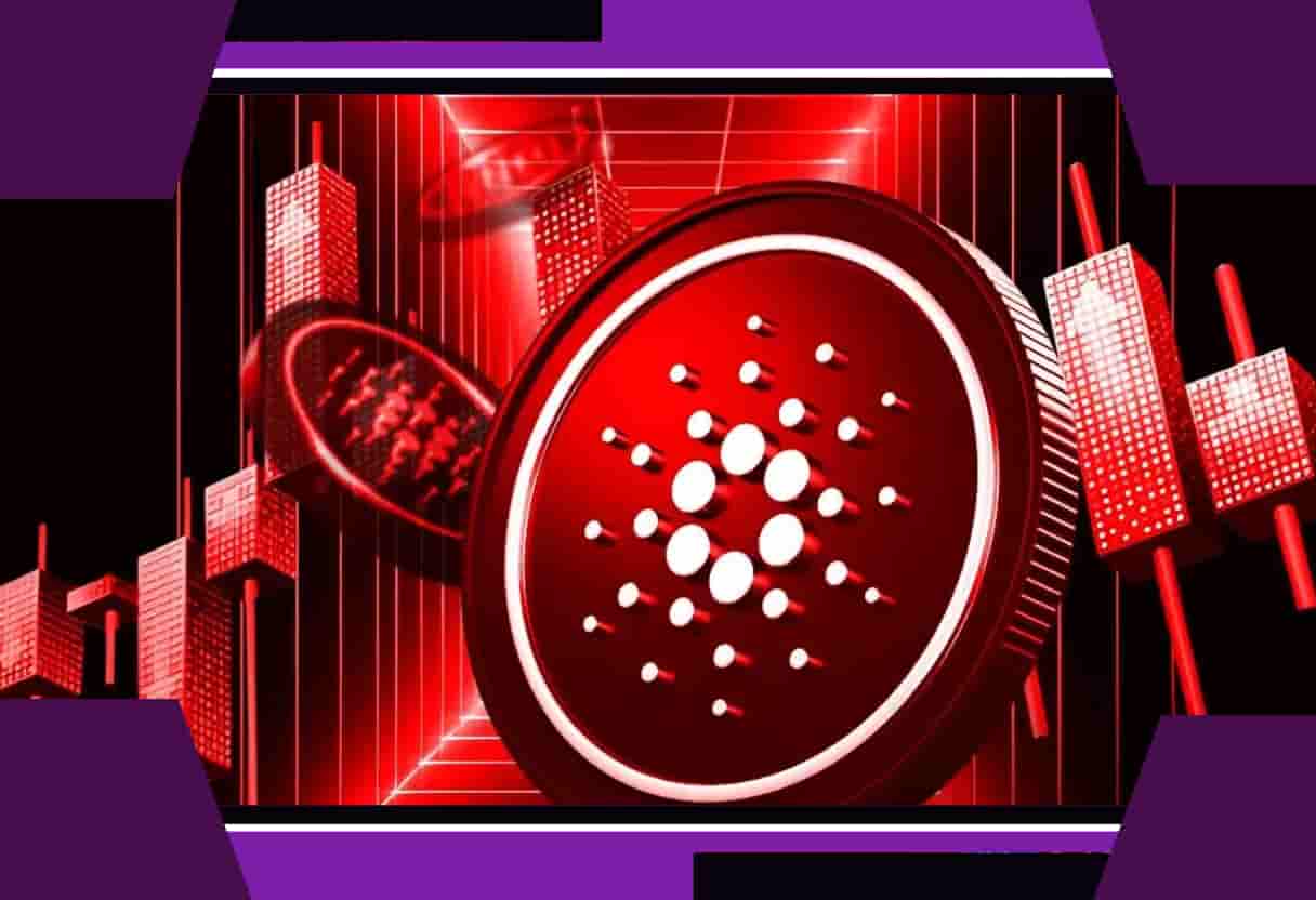 Cardano ranking crash